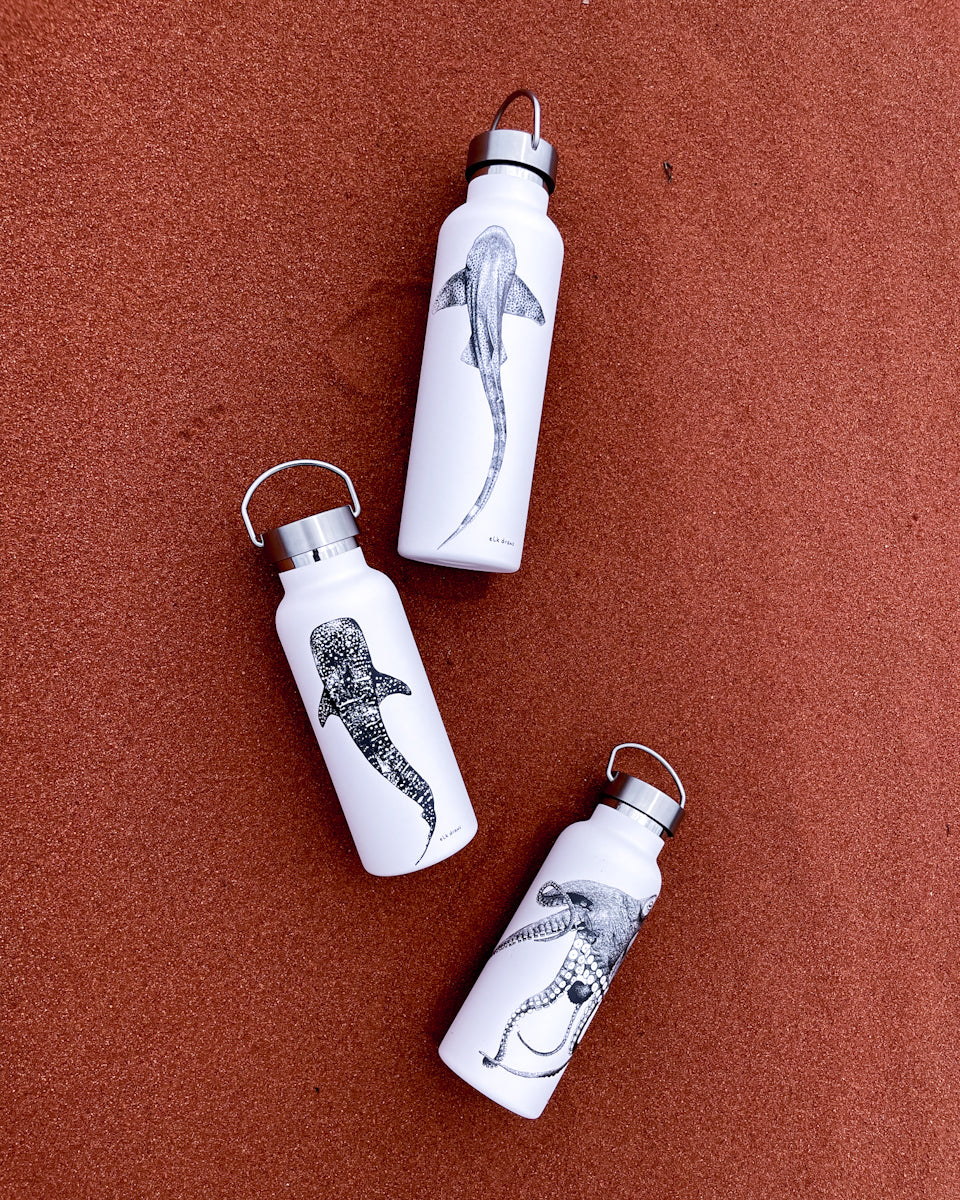 Drink Bottles Elk Draws