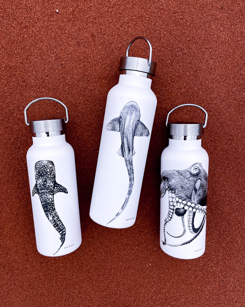 Stainless Steel Insulated Drink Bottle | Leopard Shark