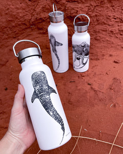 whaleshark drink bottle with leopard shark and octopus drink bottle in background