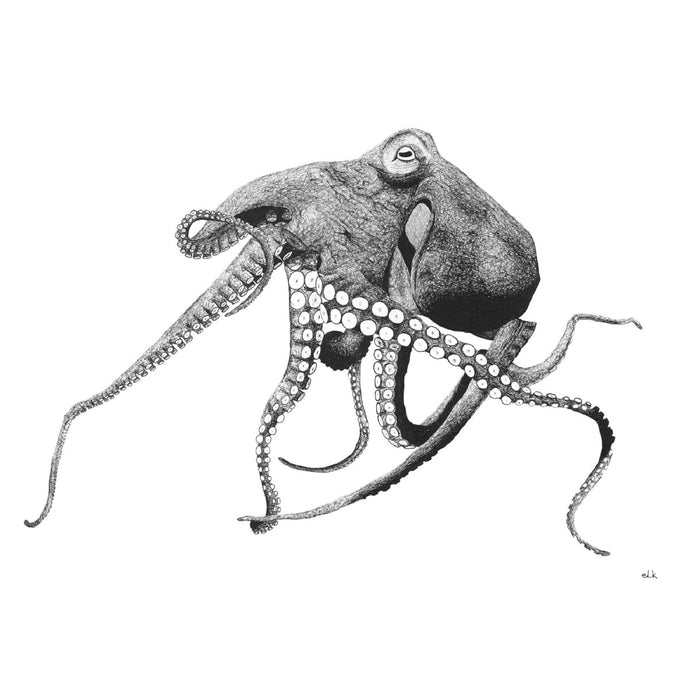elk draws octopus hand drawn print