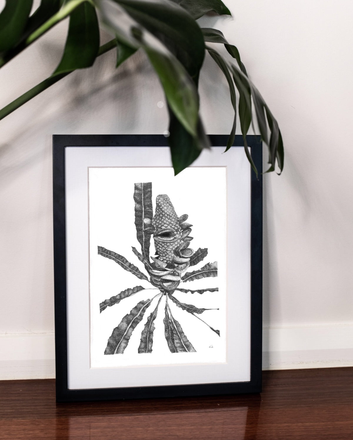 Limited Edition fine art ink drawing banksia native plant by elk draws