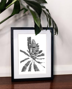 Limited Edition fine art ink drawing banksia native plant by elk draws