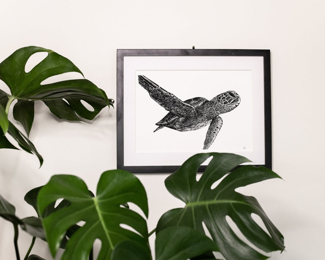 Green sea turtle print hanging on white wall behind monstera
