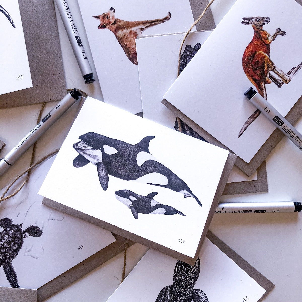 elk draws orca hand drawn greeting card