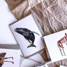 Load image into Gallery viewer, hand drawn greeting cards by elk draws