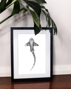 leopard shark to raise money for mental health hand drawn in black frame modern home