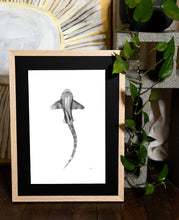 Load image into Gallery viewer, leopard shark to raise money for mental health hand drawn in oak frame indoor plant