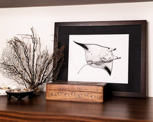 Load image into Gallery viewer, Manta ray print with jewellery box and dried coral and shells