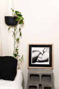She print in cosy bedroom with hanging plant