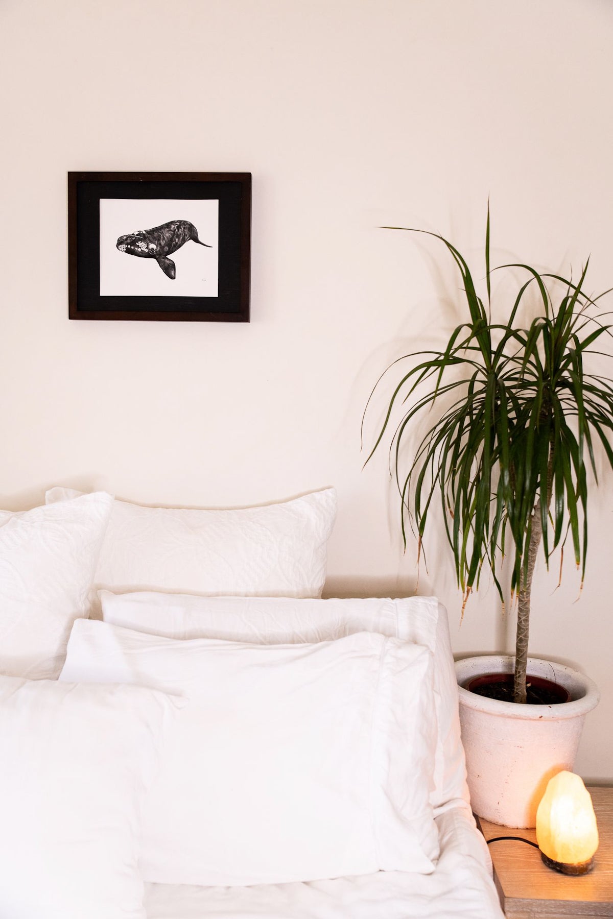 Southern right whale above white linen bed with pot plant