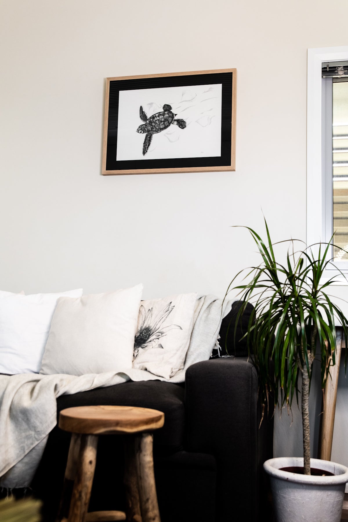 Turtle hatchling print above couch in living room