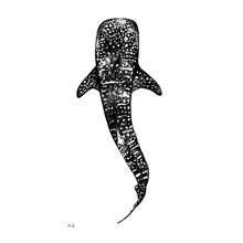 Load image into Gallery viewer, Fine art drawing black and white whale shark print by elk draws