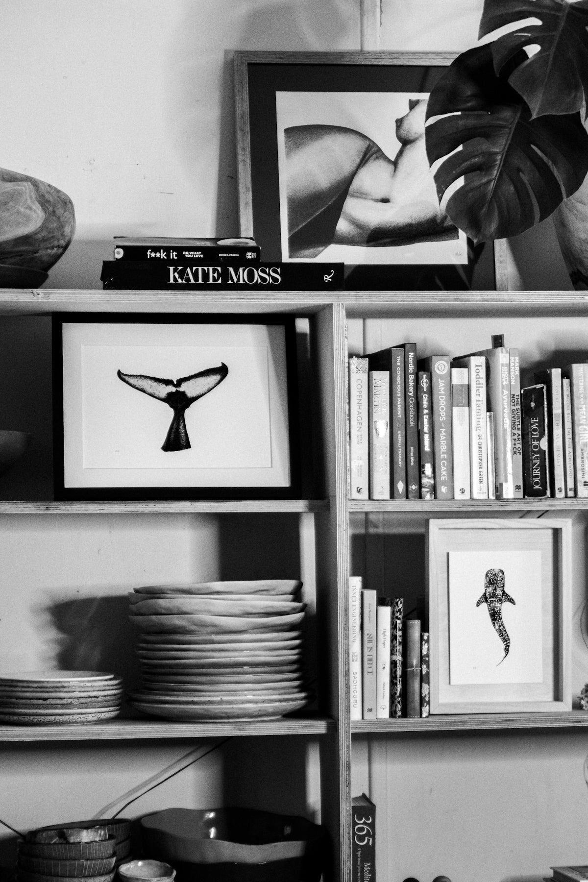 Whale tail fluke by elk draws on kitchen shelves