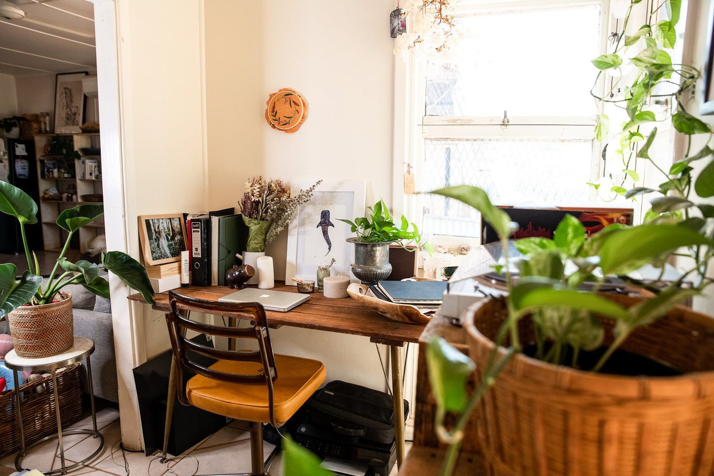 coloured whaleshark print in house with indoor plants