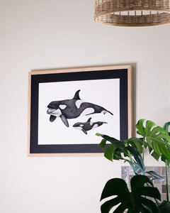 orca and calf drawing with monstera indoor plants
