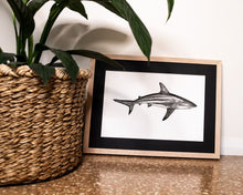 Load image into Gallery viewer, Black tip shark by elk draws in modern home next to indoor plant 