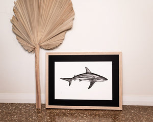 Black tip shark by elk draws in modern home
