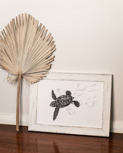 Load image into Gallery viewer, turtle hatchling in washed white wooden frame