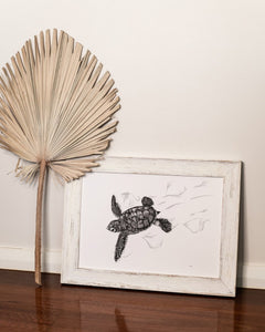 turtle hatchling in washed white wooden frame