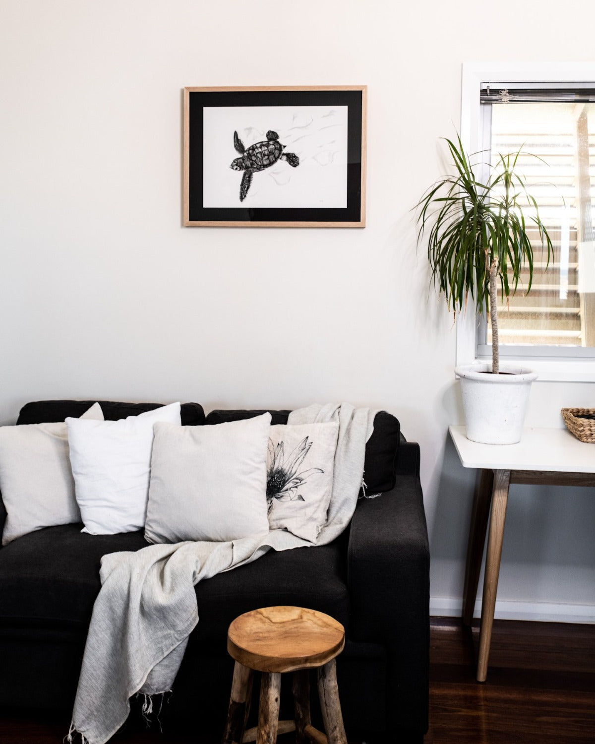 turtle hatchling print above couch in living room