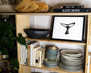 whale tail fluke on kitchen shelves with books